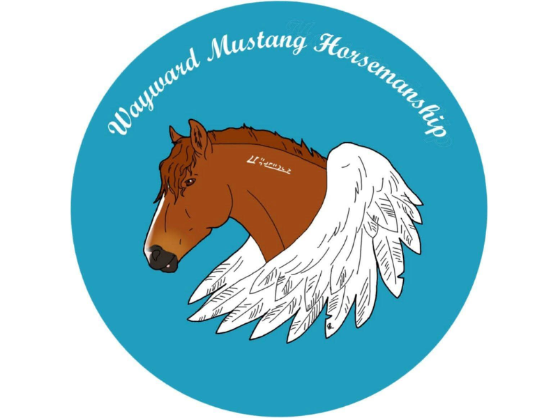 Wayward Mustang Horsemanship
